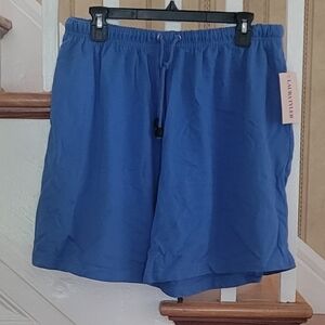 LAURA TYLER Womans Blue Shorts Size XL
